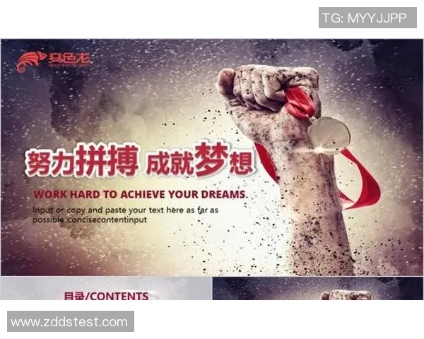 上海排球队逆袭之路联合会杯特别报道展现拼搏精神与团队力量