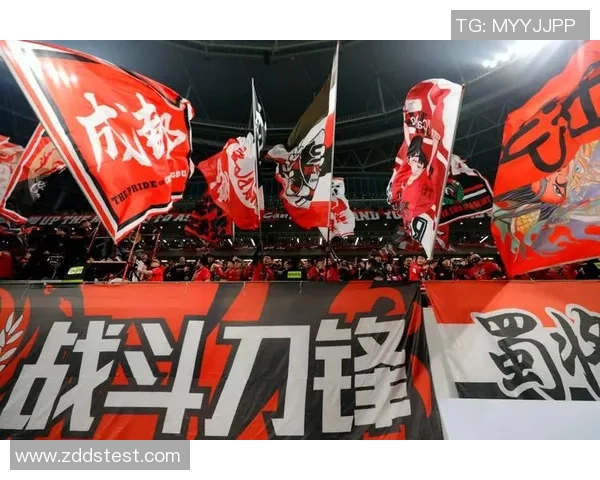 成都足球队的蜕变之旅：从地方球队到世界舞台的崛起与挑战